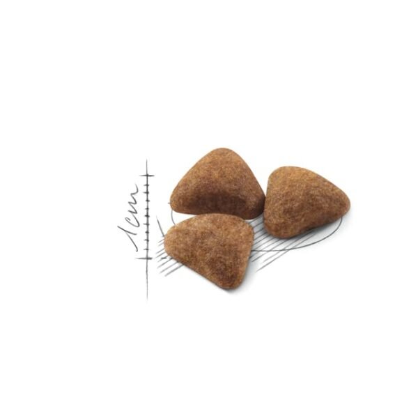 Royal Canin Indoor 27 Dry Food For Cat(4kg)