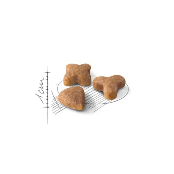 Royal Canin Sensible 33 Dry Food For Cat(4kg)