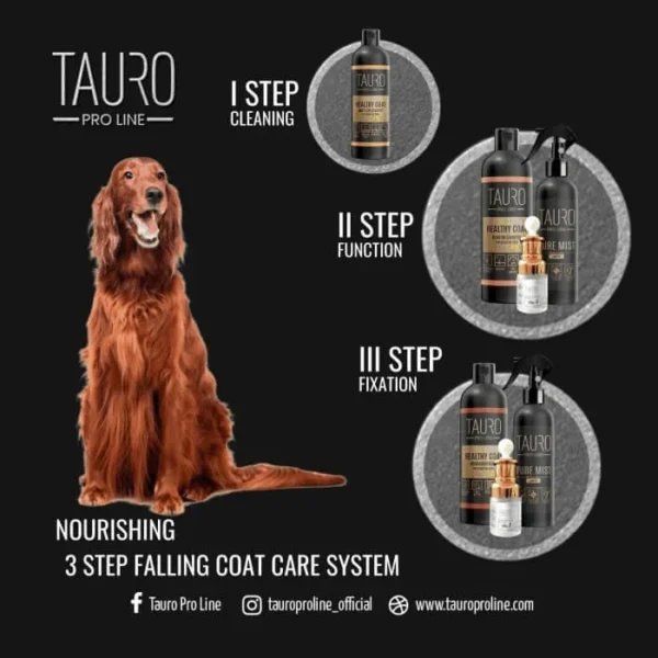 Healthy Coat Daily Care Shampoo for Dogs and Cats | Tauro Proline(250ml)