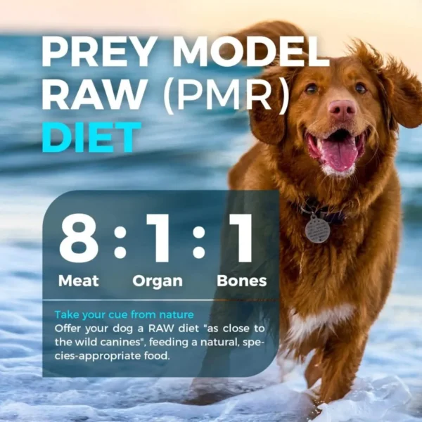 Furry Wonder Freeze-Dried Raw Chicken & Mackerel Recipe for Dog Skin & Coat Vitalize