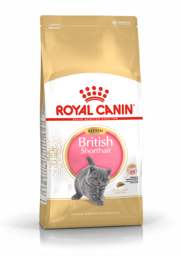 Royal Canin British shorthair kitten Dry Food For Cat(2kg)