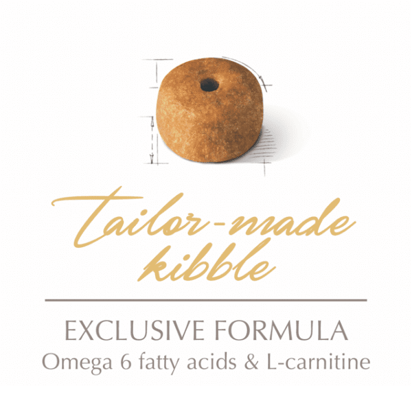 Royal Canin Siamese adult Dry Food For Cat(2kg)