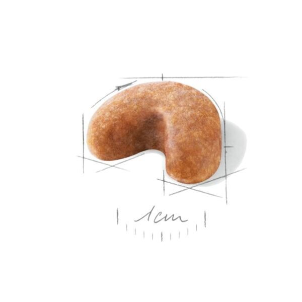 Royal Canin French bulldog puppy Dry Food For Dog(3kg)