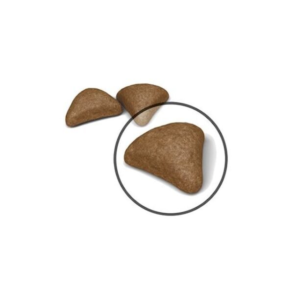 Royal Canin HAIRBALL CARE Dry Food For Cat(4kg)