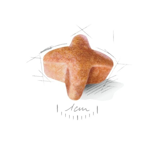 Royal Canin German shepherd adult Dry Food For Dog(11kg)