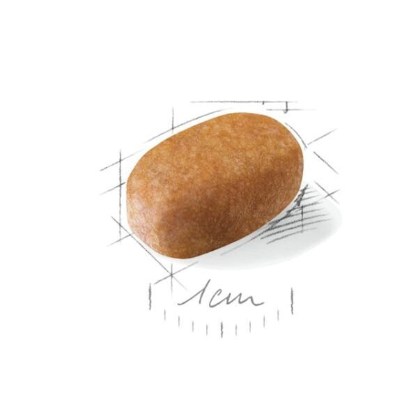 Royal Canin Maltese adult Dry Food For Dog(1.5kg)