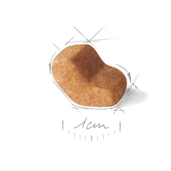 Royal Canin Shih tzu adult Dry Food For Dog(3kg)